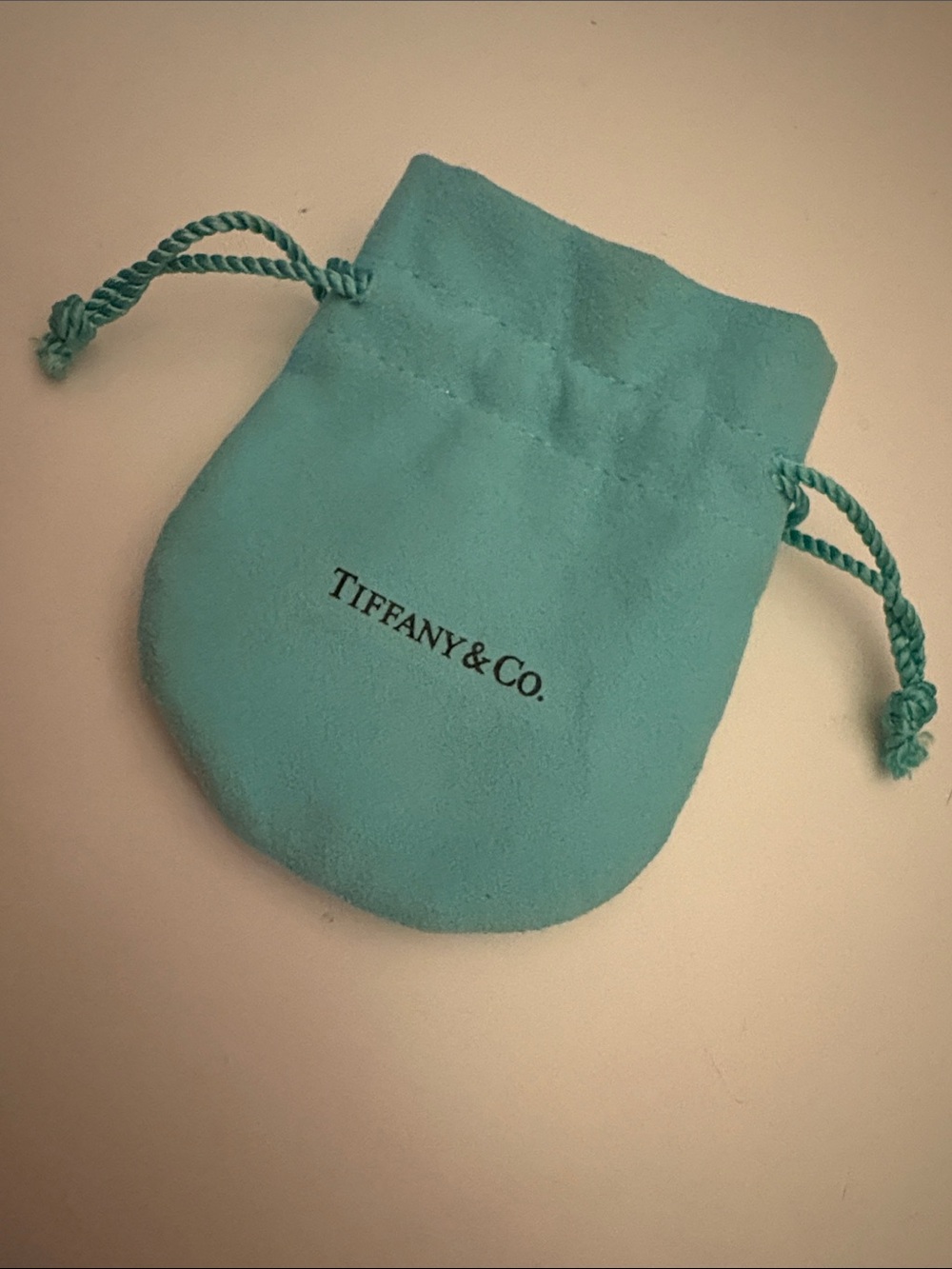 Tiffany & Co. Signature Robin's Egg Blue Drawstring Pouch